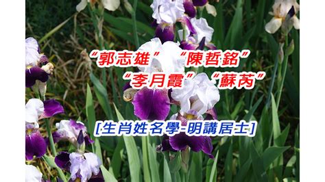 芮姓名學|芮字最佳名字组合